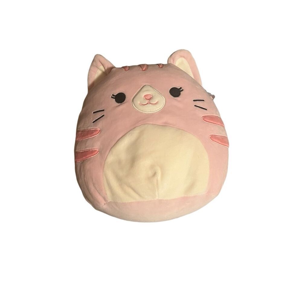 Squishmallows PAULITA The PINK CAT 8" Plush, Pink Tabby CLAIRES EXCLUSIVE RARE